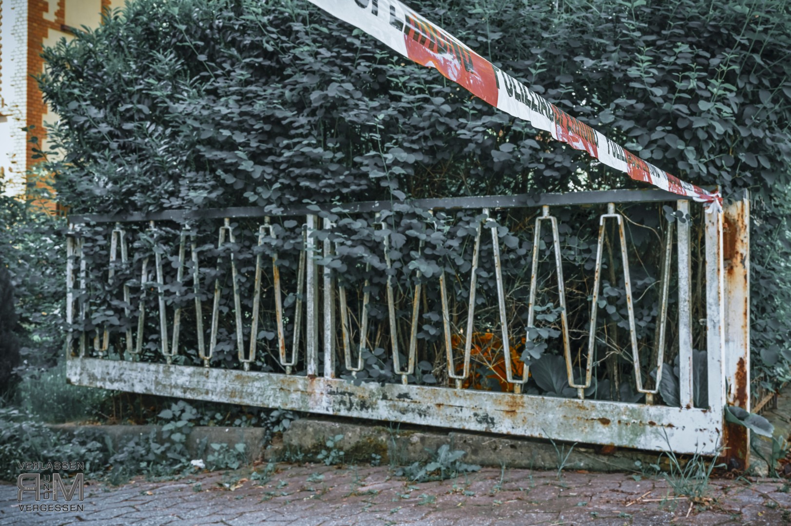 RMI 9213